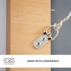 OOK 2-Hole D-Rings Value Box (10-Pack) -Laurey Sales ook picture mirror hanging 59980 77 1000